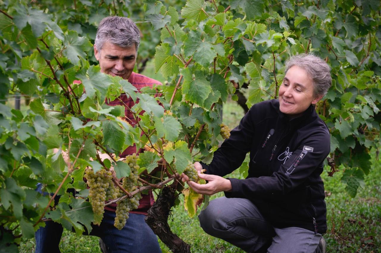 Vignoble Chateau Piegue - Winery Bed & Breakfast Rochefort-sur-Loire Bagian luar foto