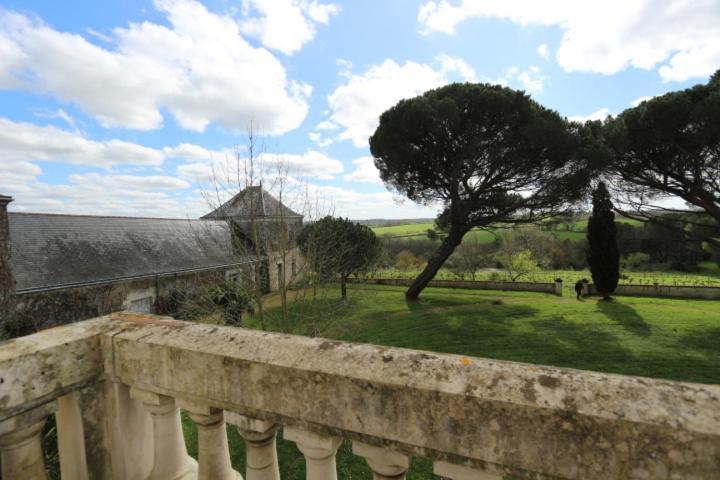 Vignoble Chateau Piegue - Winery Bed & Breakfast Rochefort-sur-Loire Bagian luar foto